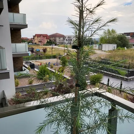 Dacrilo 11 Cluj-Napoca