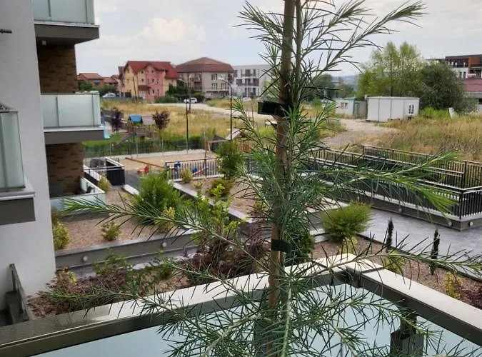 Dacrilo 11 Kaloşvar